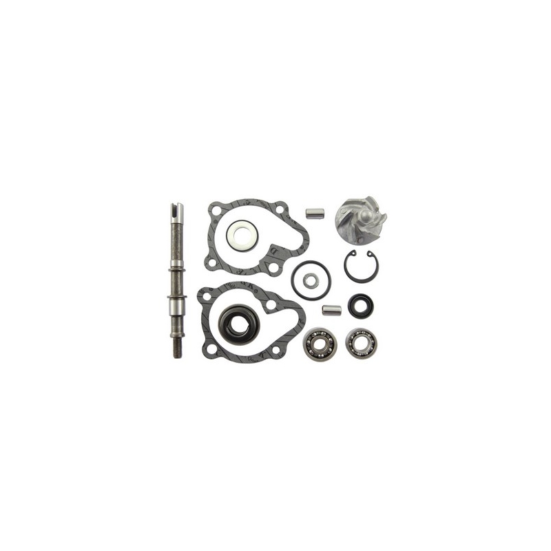 Vicma 11625 set za popravak vodene pumpe