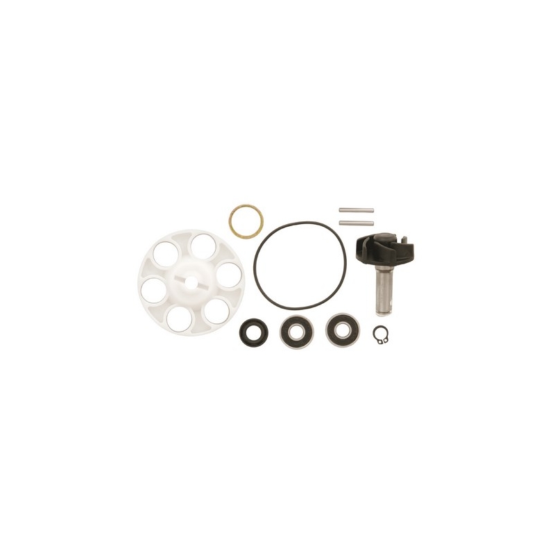 Vicma 6215 Kit za popravak vodene pumpe