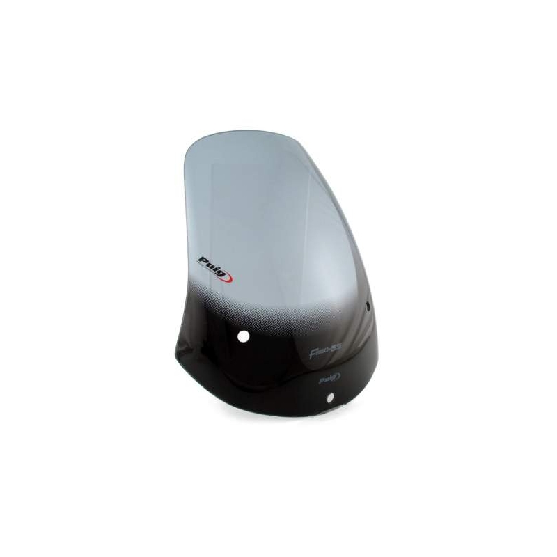 Pleksiglas za motocikl Puig-BMW F650 GS (00-03) TOURING