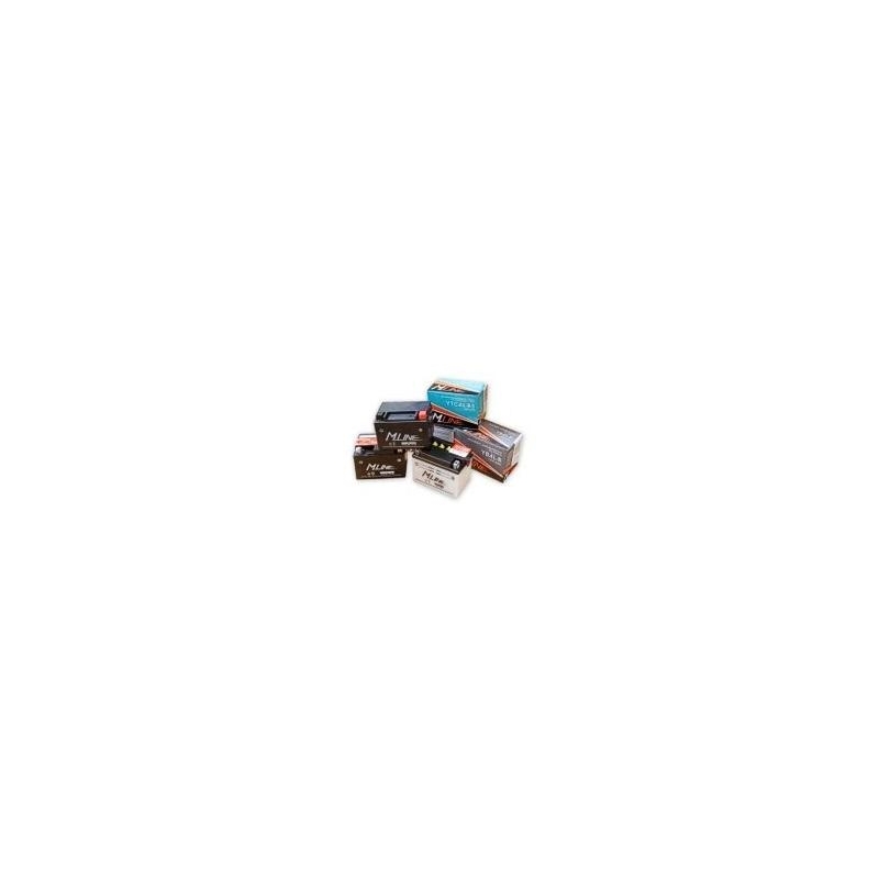 Baterie standard M-Line YB14-B2
