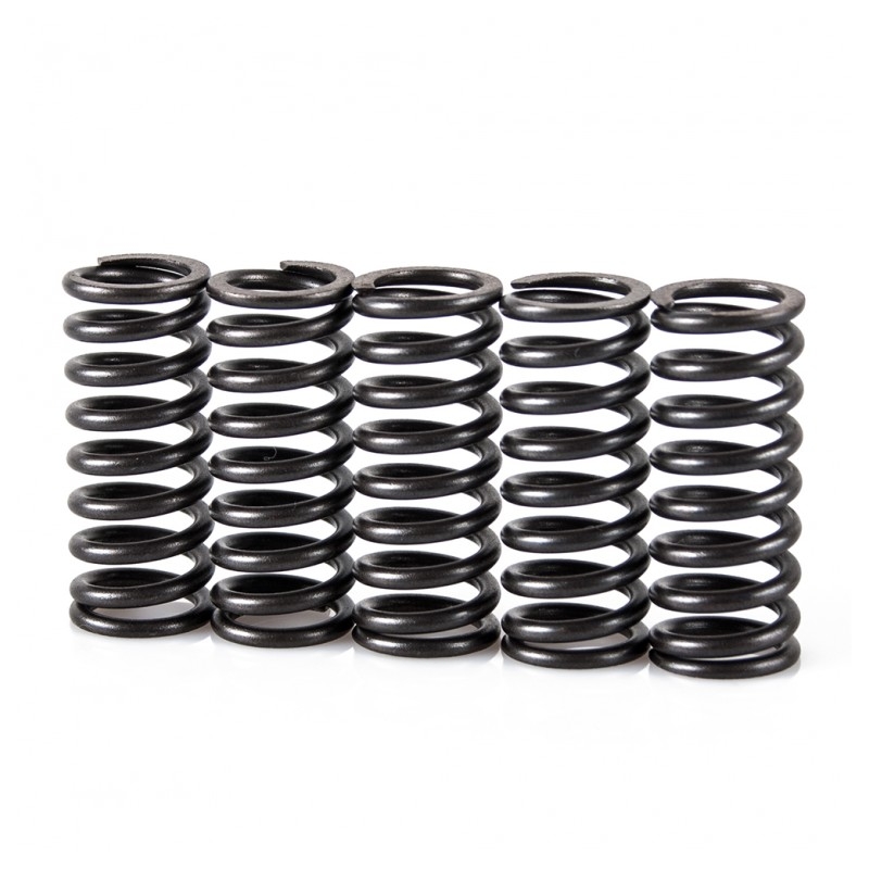 Pružiny spojky sada MOTION STUFF