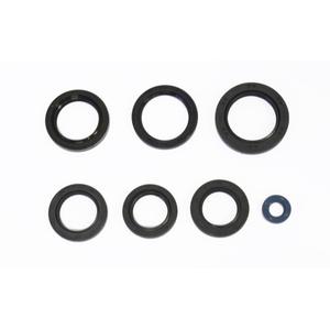 Sada gufer motoru ATHENA