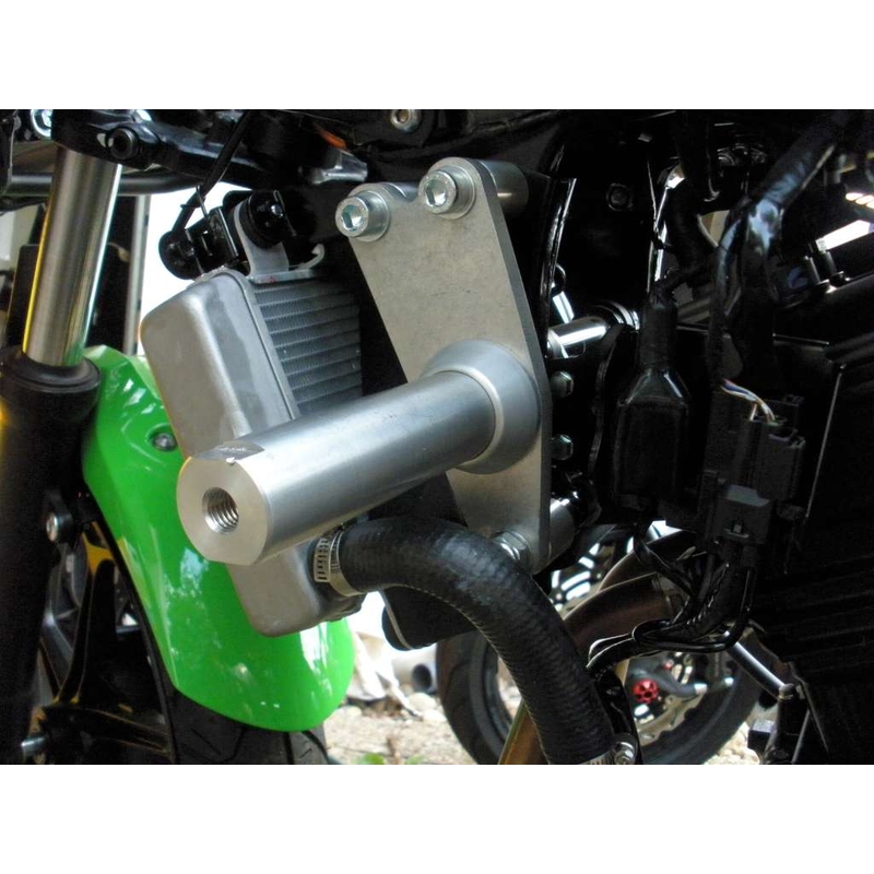 Kawasaki ZX-300R Klasični