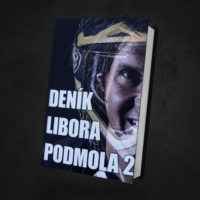 Knjižni dnevnik Libora Podmola 2