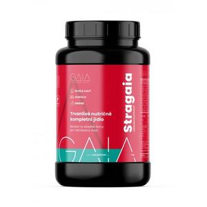 Instant hrana GAIA Stragaia 1 kg jagoda