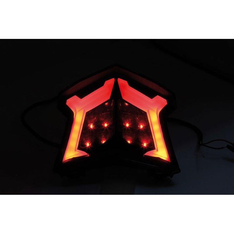 Highsider Smart LED stražnje svjetlo za Kawasaki Z 900, Z 650, Ninja 650 motocikle, Bj. 17-