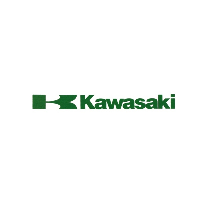 Kawasaki naljepnica zelena