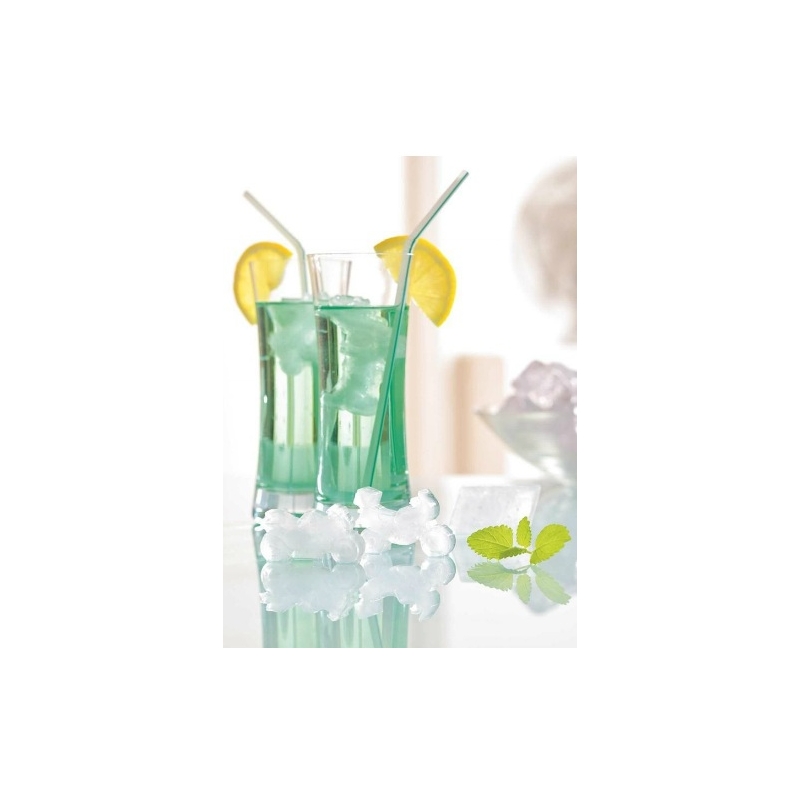 Kalup za led i čokoladu